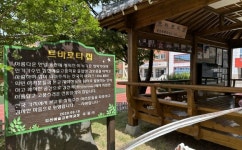 ‘트바로티 집’ 현판 결국 뗐다…김호중 모교 김천예술고등학교