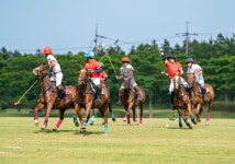 제1회 제주폴로연맹 회장배 국제폴로대회 성황리 종료