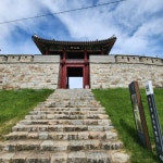 네이버 검색 결과 사진 6