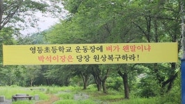 ‘너무 황당해요’···학교 운동장이 거대한 논으로 둔갑