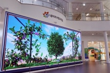 물놀이·요가·반려동물·농촌체험 한 자리에…선샤인 밀양 테마파크 인기몰이