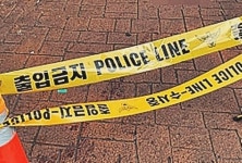 일본도 이어…50㎝ ‘정글도’ 휙휙, 춘천 아파트 발칵