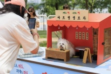 마포 난지한강공원 캠핑장 홍보할 댕댕이 모여!