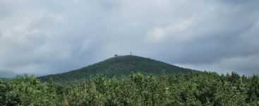 뭉크의 ‘두사람, 외로운 이들’ 처럼… 휴식같은 친구 ‘소울오름’ 처럼[강동삼의 벅차오름]
