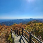 화마를 이겨낸 울진 응봉산을 걷다 [두시기행문]