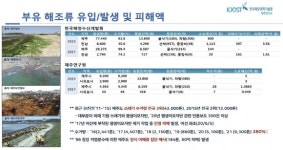 축구장 280개 규모 ‘파래 지옥’ 신양해변… 해녀도 항구도 역할을 잃었다