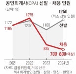 채용 줄이는데 ‘국시’ 합격자 확대… 일할 곳 못 찾는 새내기 회계사들