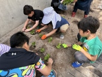 흙 속에서 행복 찾는 ‘어린이 농부’들…서울 중구, 어린이 농부 학교 운영
