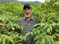 두릅 명인 이춘복 회장 “귀농, 인생 역전시킨 탁월한 선택”