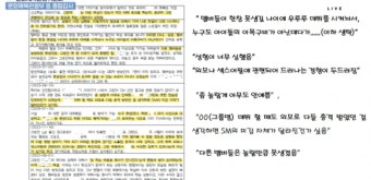 “아이돌 이목구비가… 놀랄 만큼 못생겨” 외모 품평 하이브 내부 문건 국감서 지적