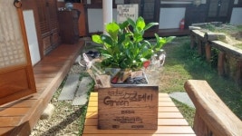 친환경 숙박시설의 탄생…전주시 그린스테이 시범사업