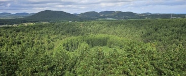 그곳은 어떤가요… 부재 중인 가을을 만날 수 있나요 [강동삼의 벅차오름]