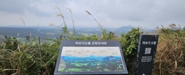 나만의 비밀화원으로 떠납니다… 은빛 가을바다와 인사하셨나요 [강동삼의 벅차오름]