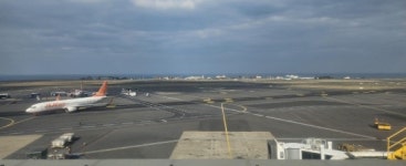 [무안공항 참사] 사고 여객기 7C2216편, 다음 운항일정은 제주도였다