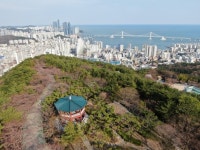 부산 수영구, 자치구 간 통합 구상 제의