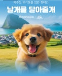‘날개를 달아줄 개’… 제주, 지난해 유기동물 695마리 새 가족 만나