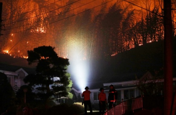 경남 산불, 엿새째 지리산까지 번지며 대피령 발령, 진화율 77%에도 계속되는 어려움!