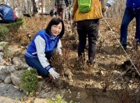 이영실 서울시의원, 식목일 앞두고 철쭉나무 심으며 환경사랑 실천