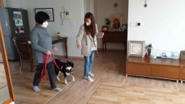 성동구, 반려견·반려묘 함께하는 ‘홈클래스’서울시 자치구 최초 운영