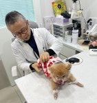 영등포, 취약계층 반려동물까지 챙긴다... 치료비 40만원 지원