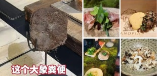 75만원 코스에 ‘코끼리 똥’ 디저트…中 고급 레스토랑 조사받는 이유 [여기는 중국]