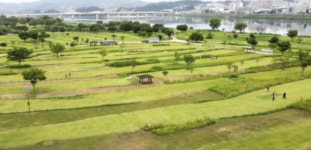 파크골프장, 농약 관리 ‘사각’…경기도, ‘농약 잔류량’ 조사