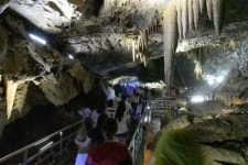 삼척 동굴자연생태관 첫 삽…98억 들여 내년 완공