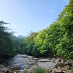 용추계곡이 있는 여름 산행지 대야산 [두시기행문]