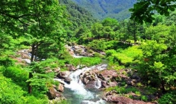 여름 피서지로 최고인 계곡...이 곳을 찾을 때 걸림돌은 바로 이것[뚜벅뚜벅 대한민국]