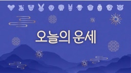[김동완의 오늘의 운세] 2025년 7월 8일