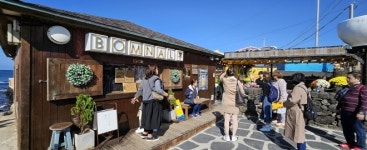 202-4번, 111-1번… 한담해변·성산항 가는 버스 더 생긴다