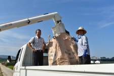 동천안농협, 첫 벼 베기 ‘풍년’ 기원