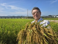 동천안농협, 첫 벼 베기 ‘풍년’ 기원