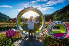 꽃내음 가득한 ‘인제’…27일 꽃축제 개막