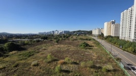 고양, 310억에 샀던 땅 4년째 ‘풀밭’… 삼송 주민 ‘분통’