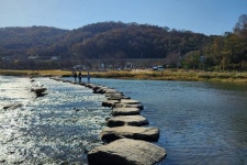 진천의 가을, 농다리의 전통미와 미르309의 현대미가 어우러진 곳 [두시기행문]