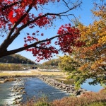 진천의 가을, 농다리의 전통미와 미르309의 현대미가 어우러진 곳 [두시기행문]