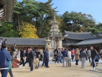 [르포]“트럼프·시진핑 기 받으러” 금관 특별전 경주박물관 오픈런…불국사도 북적