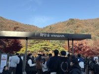 화담길 내 녹지대(U대회선수촌2단지) | ‘성공한 사람만 간다’는 별명, 화담숲이 매년 붐비는 진짜 이유 [여니의 시선]