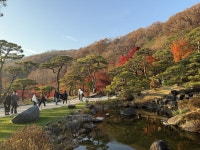 화담길 내 녹지대(U대회선수촌2단지) | ‘성공한 사람만 간다’는 별명, 화담숲이 매년 붐비는 진짜 이유 [여니의 시선]