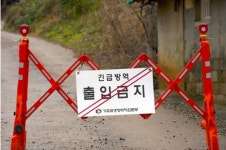 당진 아프리카돼지열병 방역대 ‘전면 해제’