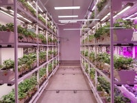 빈 건물에 미래가 싹튼다… ‘대전팜’ 도시재생·수익성 실험