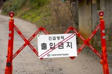 보령 돼지 농장서 아프리카돼지열병…4600마리 살처분