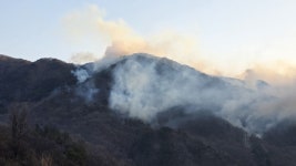 함양 대형 산불 방화범 구속…96차례 불 지른 ‘봉대산 불다람쥐’