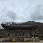 구름을 딛고 이어온 시간, 포항 운제산과 오어사 [두시기행문]