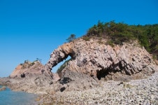 황금 없는 산에 핀 황금빛 꿈, 서산 황금산 [한ZOOM]