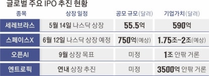 스페이스X·오픈AI, 상장 전 미리 타볼까