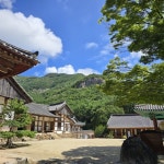 천년의 전나무 숲길, 내소사로 가는 길 [두시기행문]