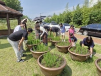 수성구립용학도서관, 세계가 인정한 ‘친환경 도서관’… IFLA 그린 라이브러리상 2위 수상