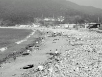 [긴급 수해안전진단] (中)  남해안권